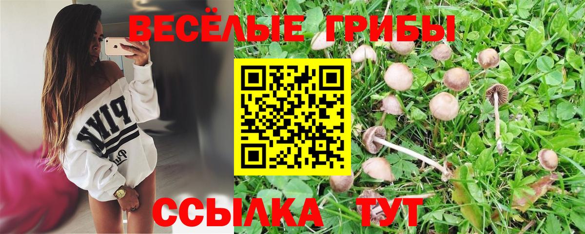 Псилоцибиновые грибы мухоморы Ефремов