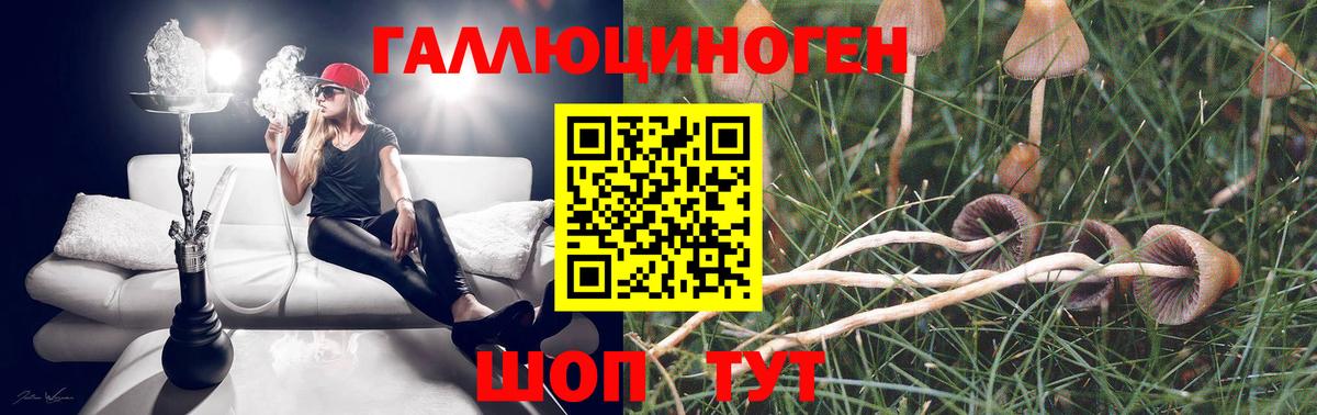 Галлюциногенные грибы Magic Shrooms  Псилоцибиновые грибы Psilocybe  Ефремов  Вход с VPN 
